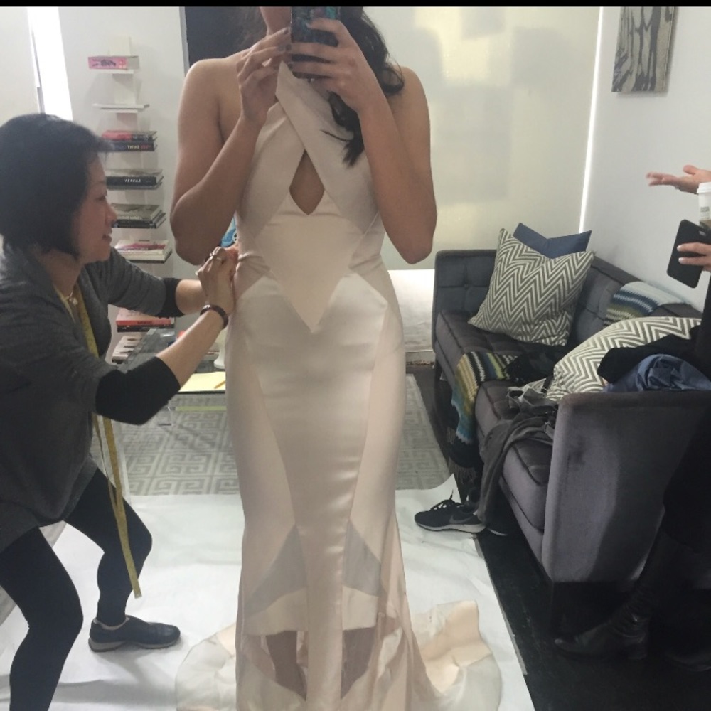 Beautiful Gabriela Cadena Gown